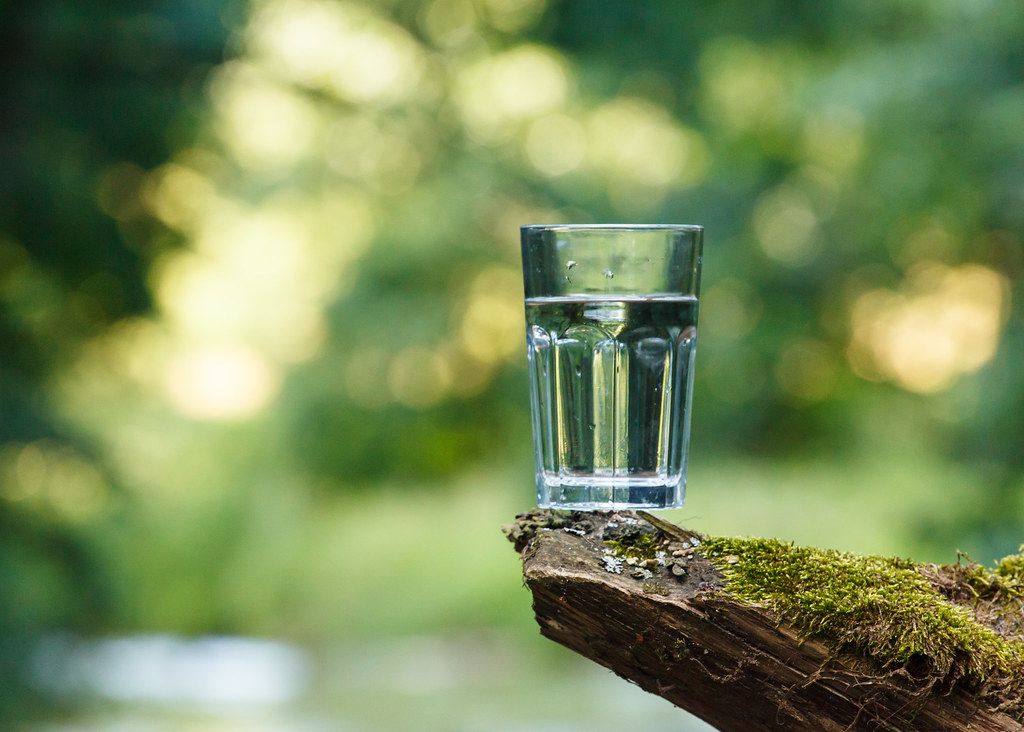 Terrarium Cleaning & Maintenance Tools Buying Guide